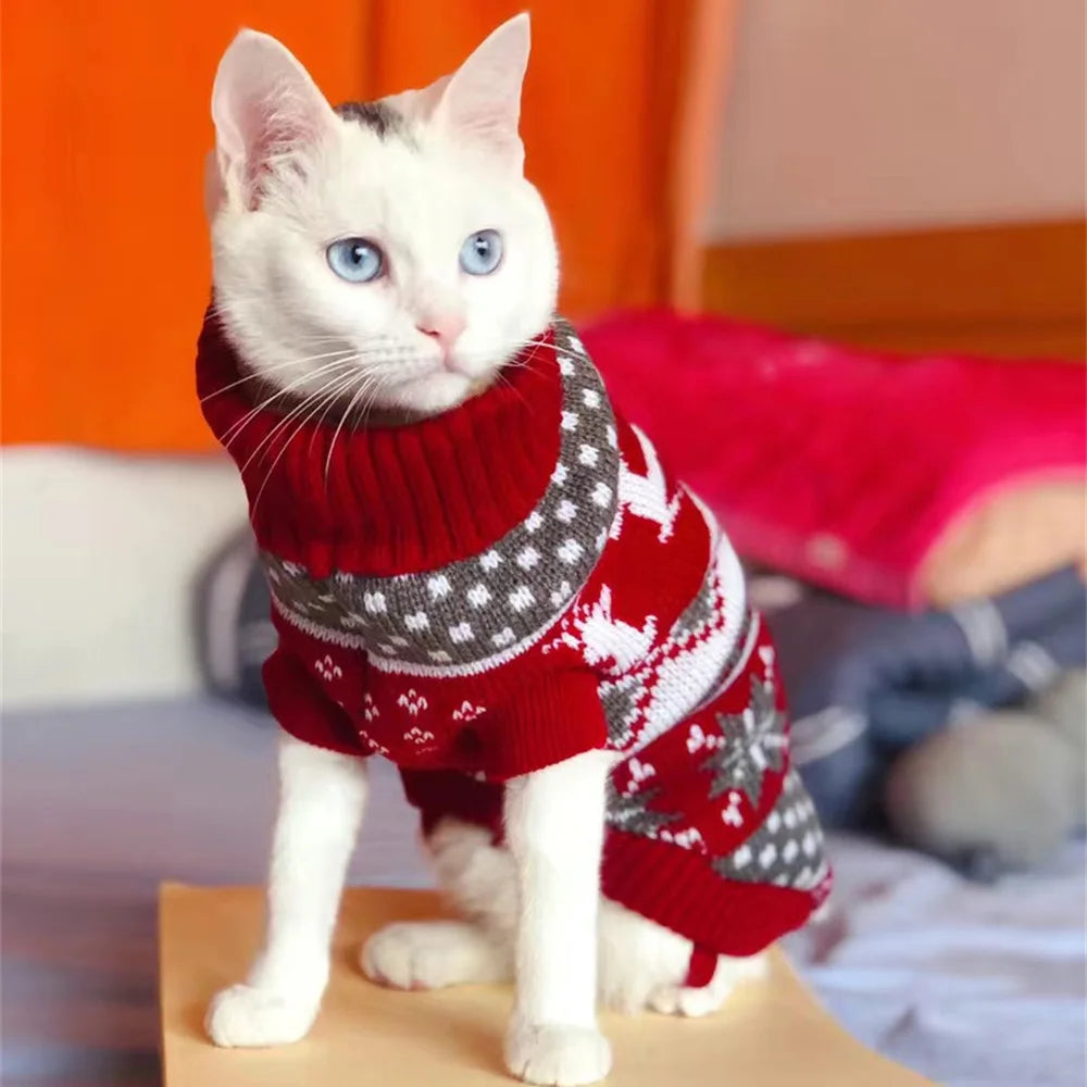 Animal Print Knit Sweater for Cats & Small Dogs