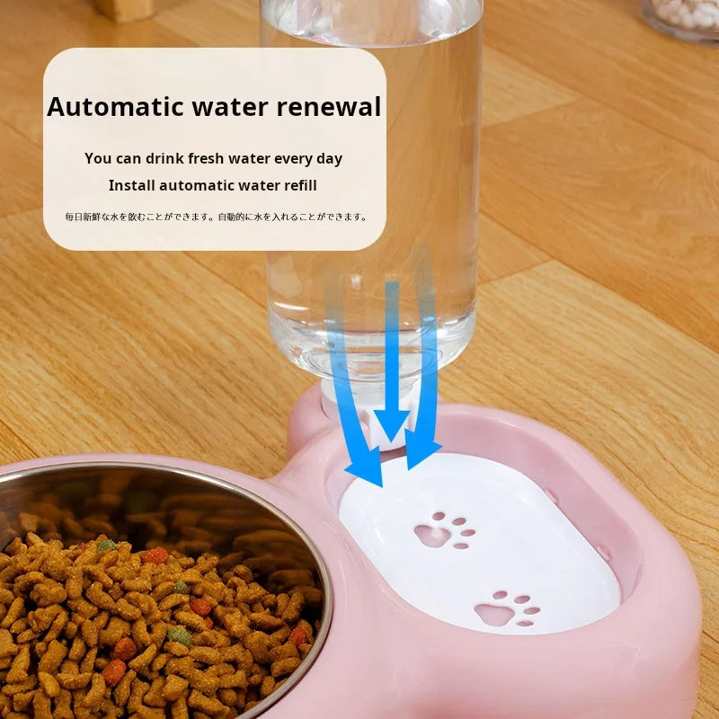 Set de gamelles doubles pour chat, distributeur d'eau automatique pour animaux de compagnie pour les garder hydratés et nourris