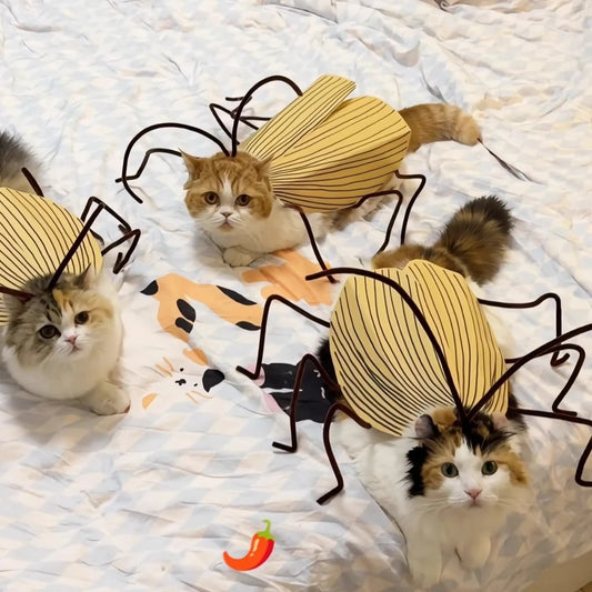 Pet Halloween Hair Accessories DIY Kit