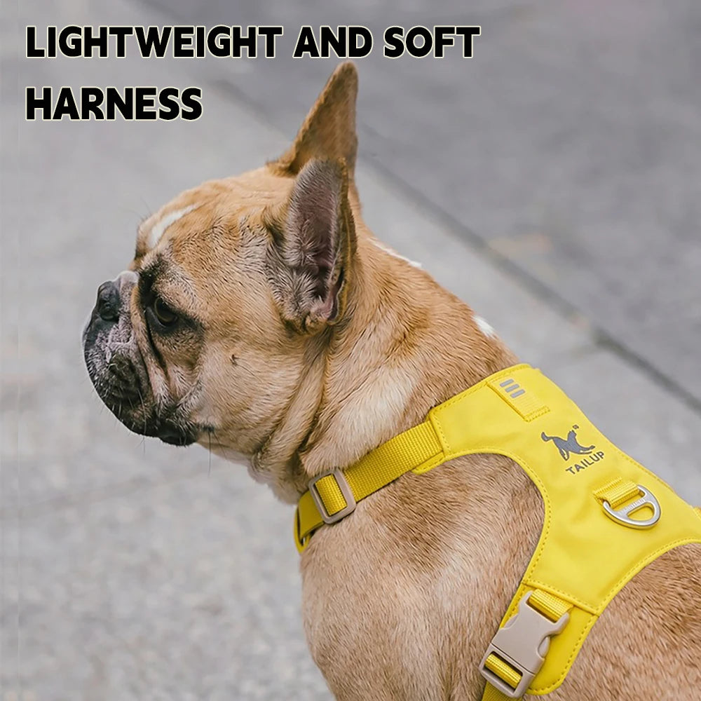 Lightweight Dog Harness & Leash Set Anti-Pull Escape-Proof Pet Walking Lead for Small Medium Large Dogs