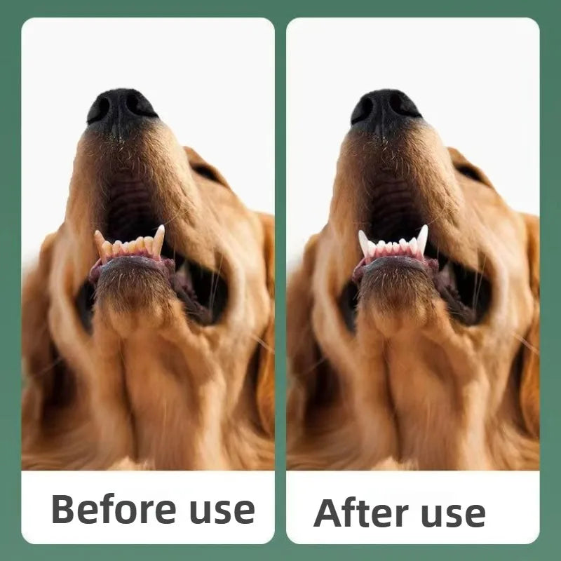 Sonic Pet Dental Cleaner – Plaque & Calculus Remover for Dogs & Cats with LED Light