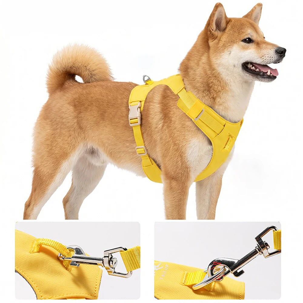 Lightweight Dog Harness & Leash Set Anti-Pull Escape-Proof Pet Walking Lead for Small Medium Large Dogs