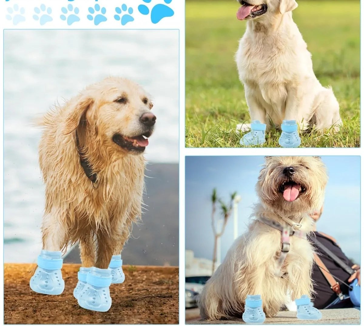 Chaussures pour chien toutes saisons - Bottes imperméables antidérapantes pour temps chaud et froid