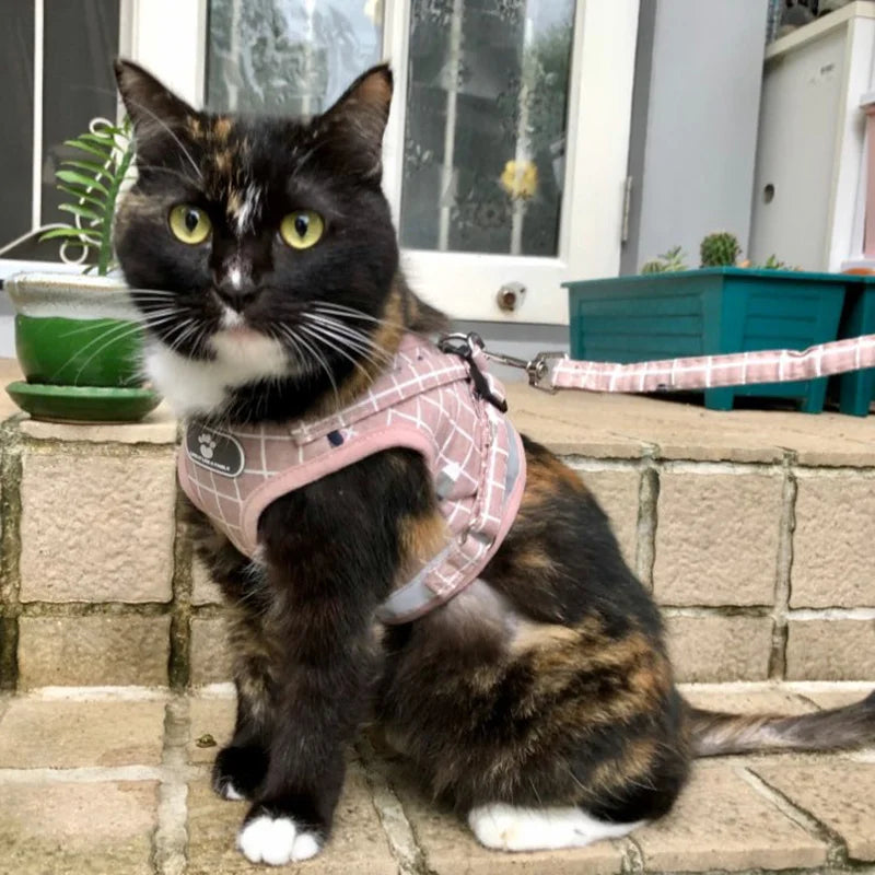 Adjustable Mesh & Plaid Cat Harness and Leash Set
