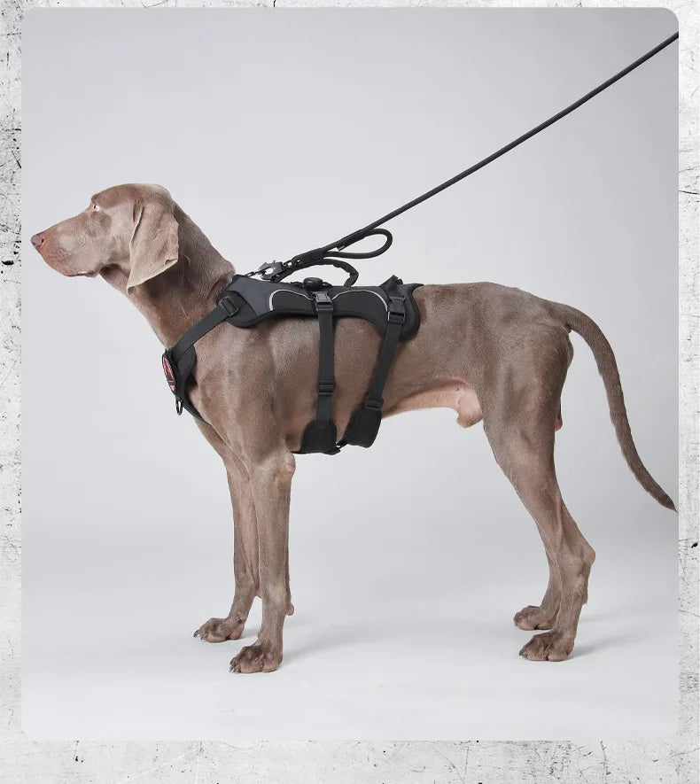 Harnais Tactique Militaire pour Grands Chiens