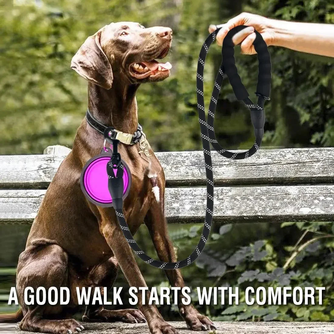 Reflective Dog Leash for All Sizes