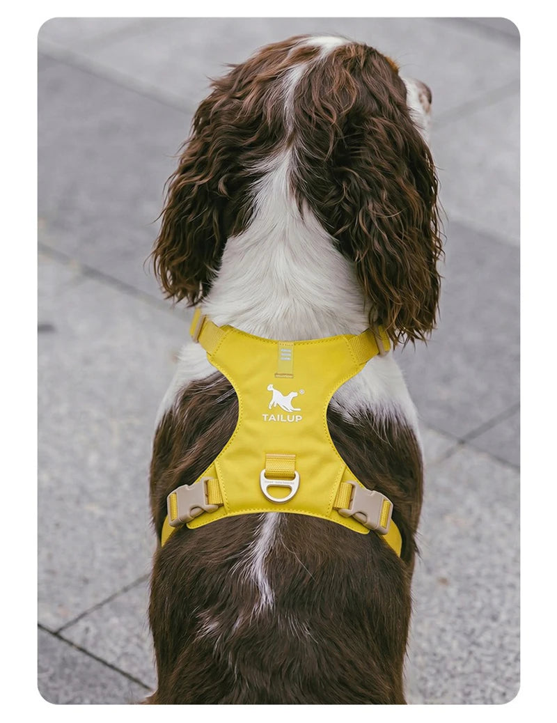 Lightweight Dog Harness & Leash Set Anti-Pull Escape-Proof Pet Walking Lead for Small Medium Large Dogs