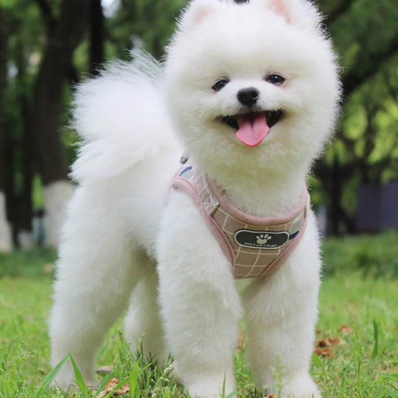 Reflective Mesh & Plaid Dog Vest Harness and Leash Set