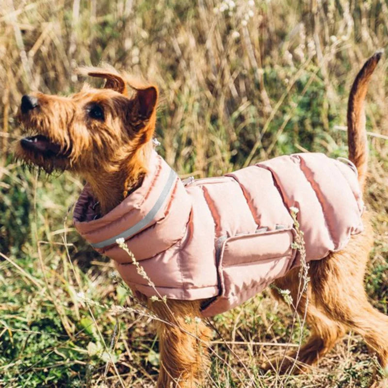 Waterproof High-Collar Down Jacket for Dogs