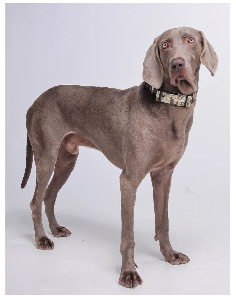 Harnais Tactique Réglable pour Grands Chiens