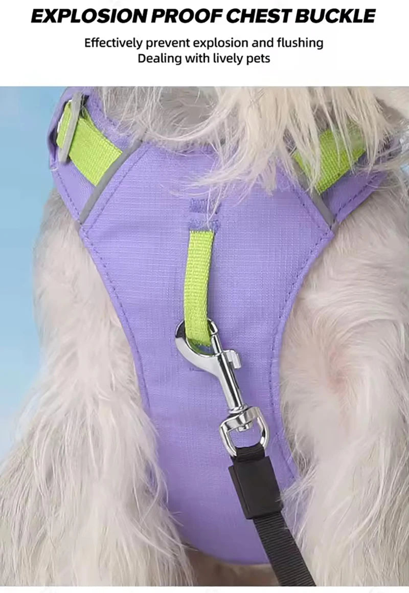 Lightweight No-Pull Reflective Dog & Cat Harness Vest