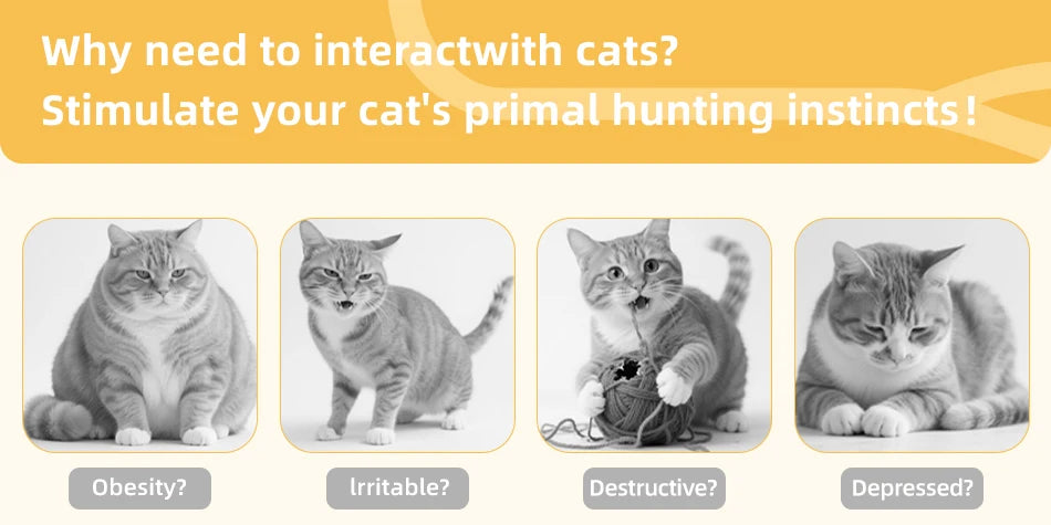 Interactive Hide & Seek Cat Toy - 3-in-1 Smart Feather & Butterfly Teaser