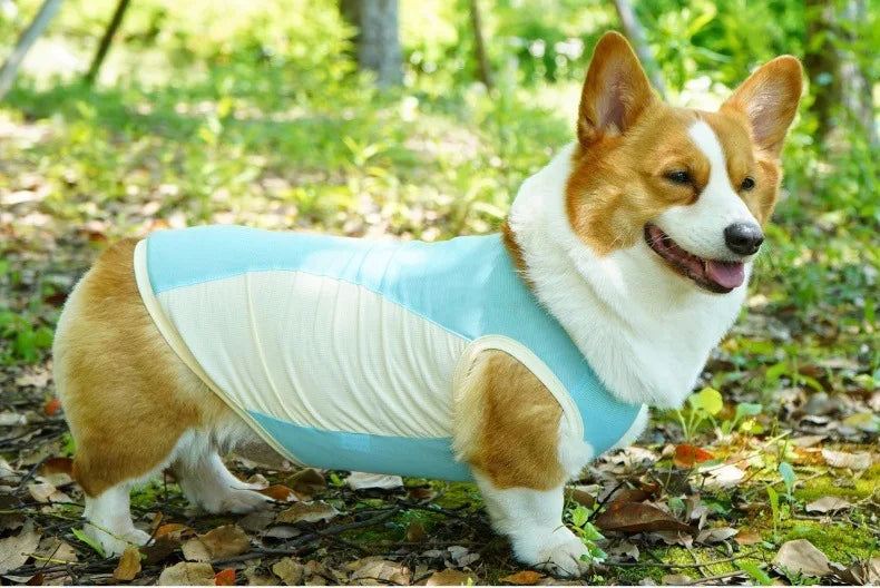 Ice Silk Cooling Vest with Sun Protection for Dogs & Cats