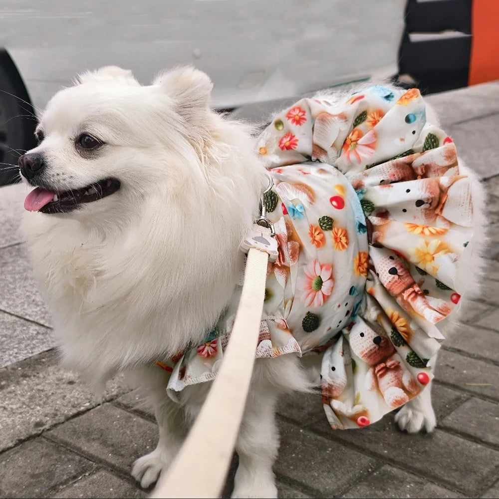 Lace Collar Dress for Cats & Small Dogs