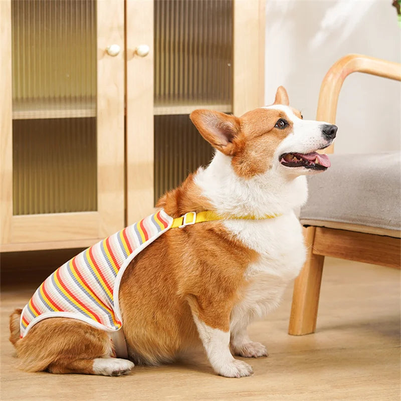 Striped Adjustable Physiological Shorts for Female Dogs