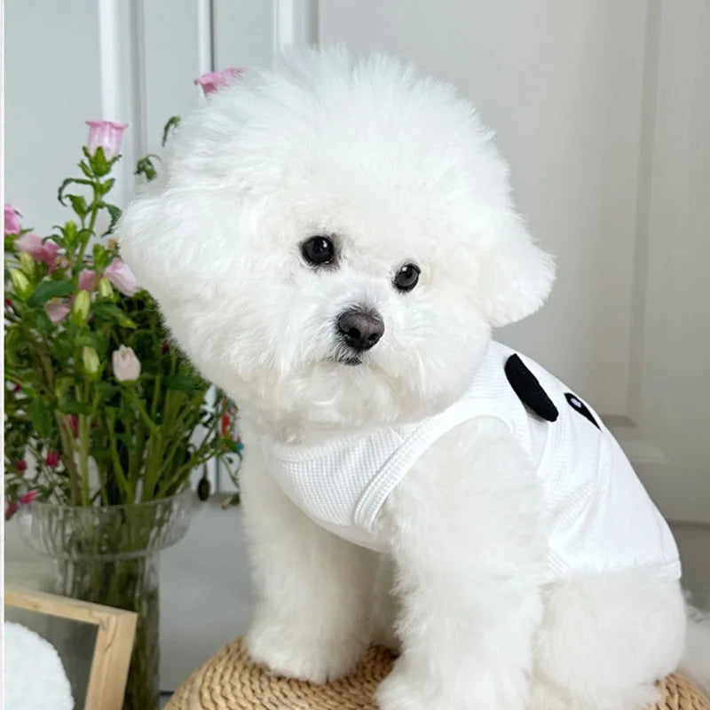 Breathable Summer Vest for Small Dogs & Cats
