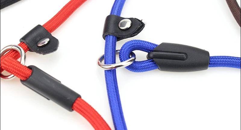 Nylon Slip Lead Training Leash for Small & Medium Dogs