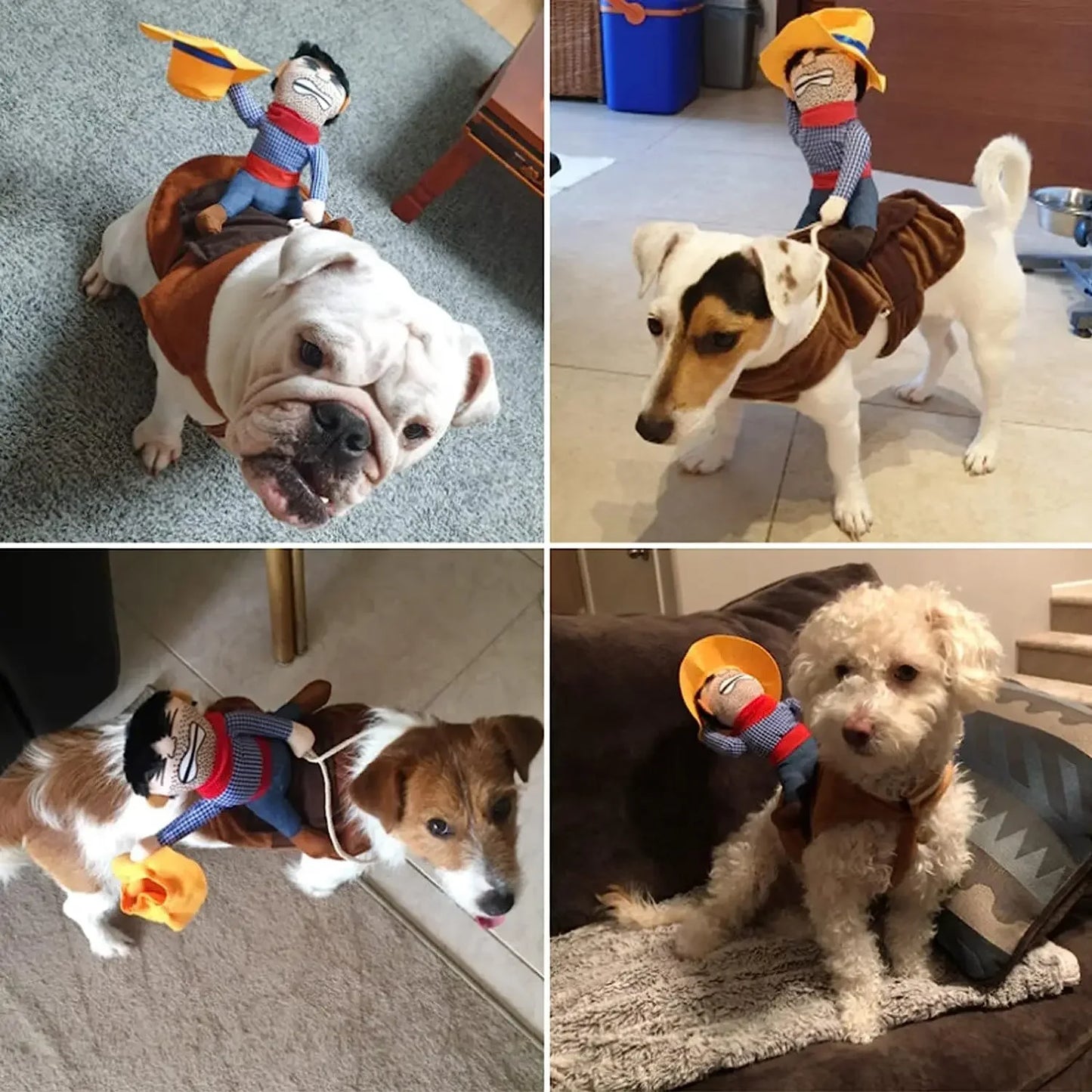 Cowboy Costume Jacket for Small Dogs