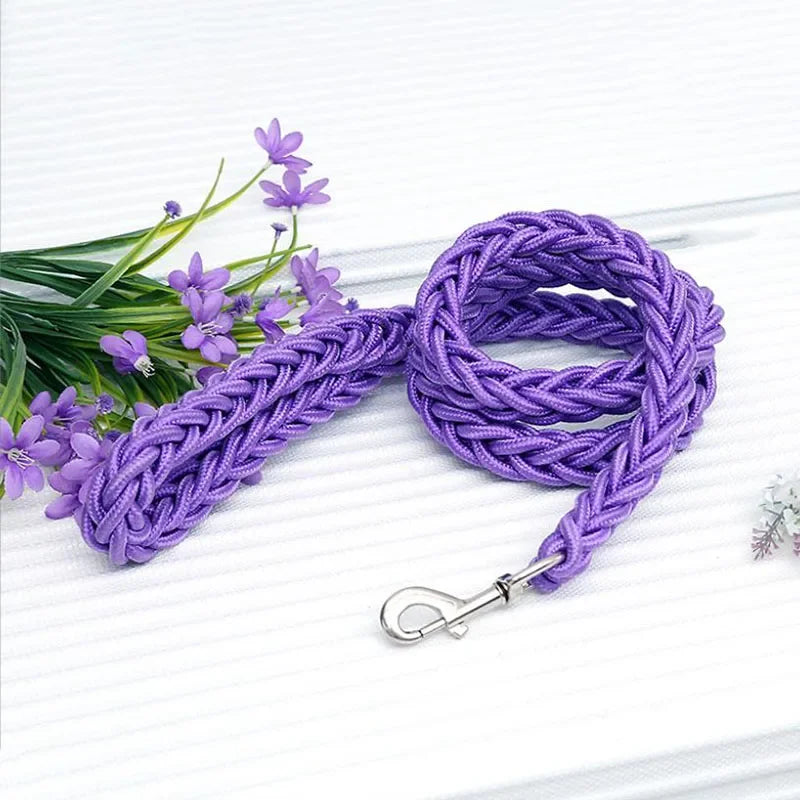 Laisse pour chien en nylon robuste (130 cm)