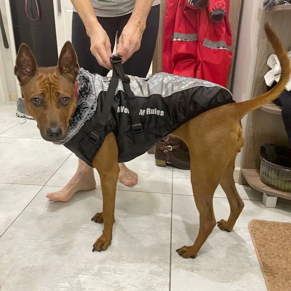 Reflective Waterproof Winter Dog Coat with Fur Collar & Harness