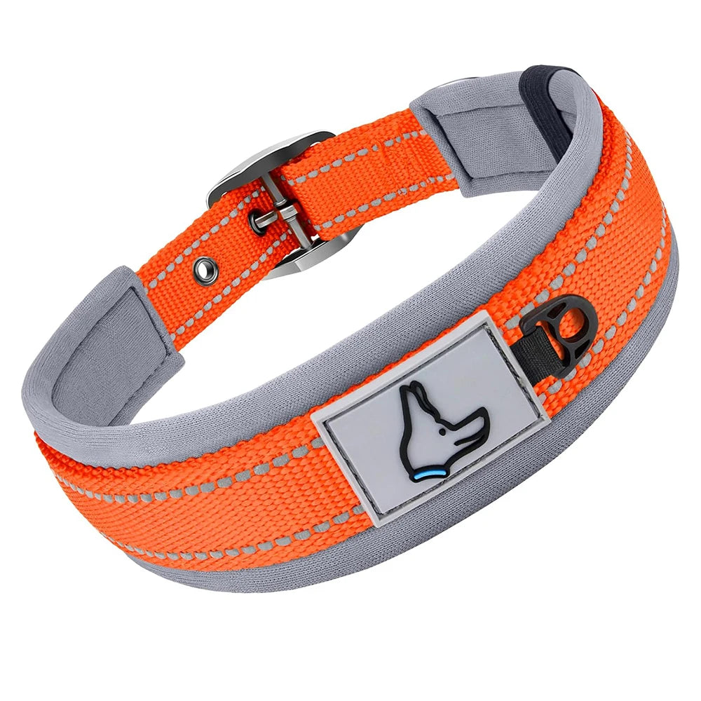 Padded Reflective Nylon Dog Collar – Adjustable for Small, Medium & Large Dogs
