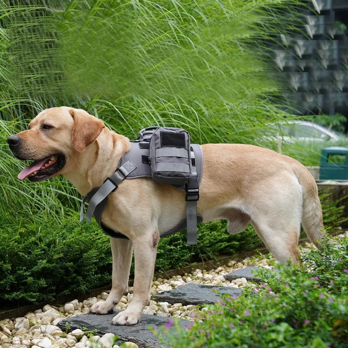 Harnais sac à dos pour chien avec sangles réglables et poches latérales