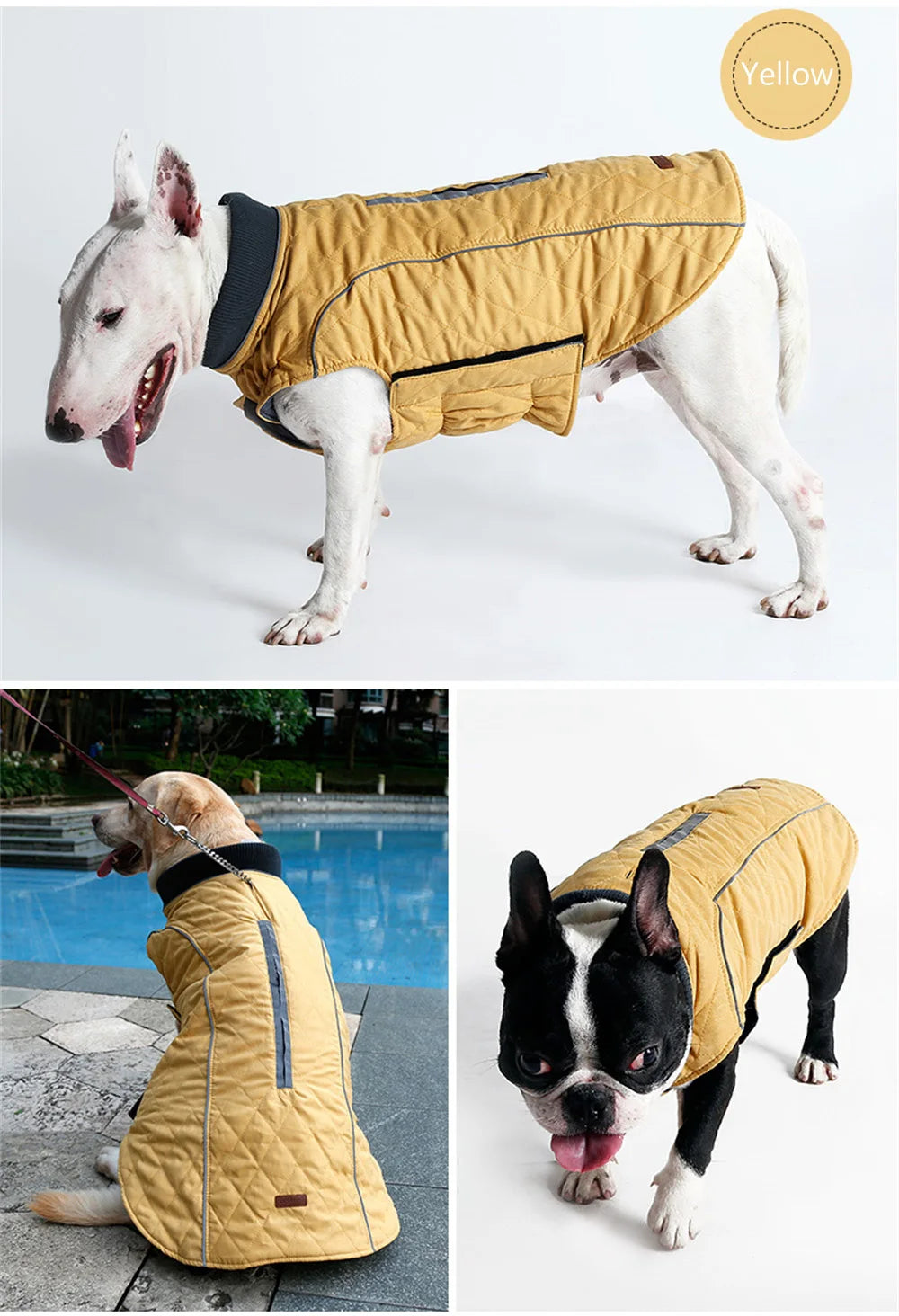 Warm Reflective Winter Jacket for Dogs — XS to 3XL