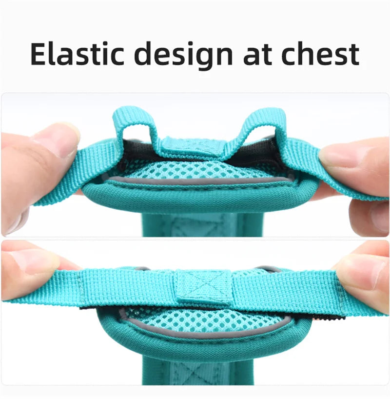 Reflective Mesh Cat & Dog Harness with Leash Set