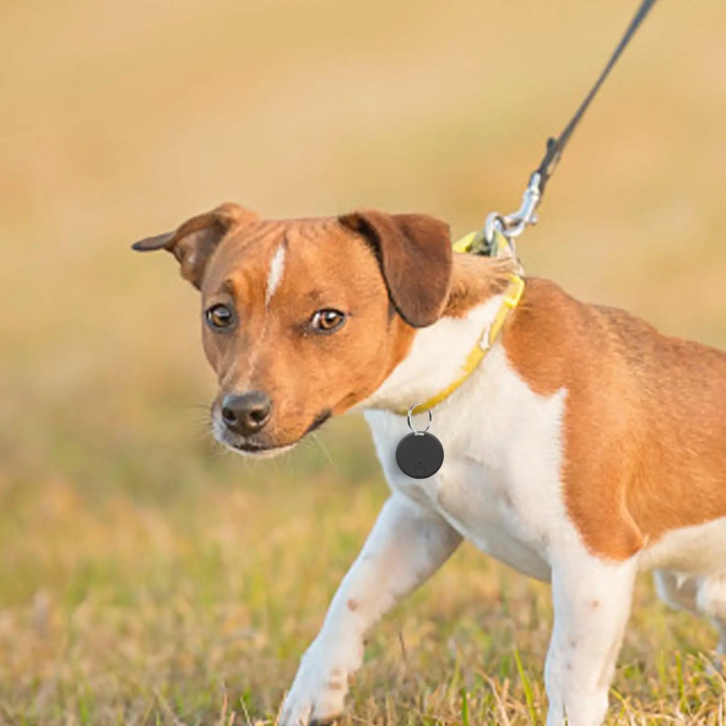Round Bluetooth Anti-Lost Tracker Tag for Pets, Keys & Bags