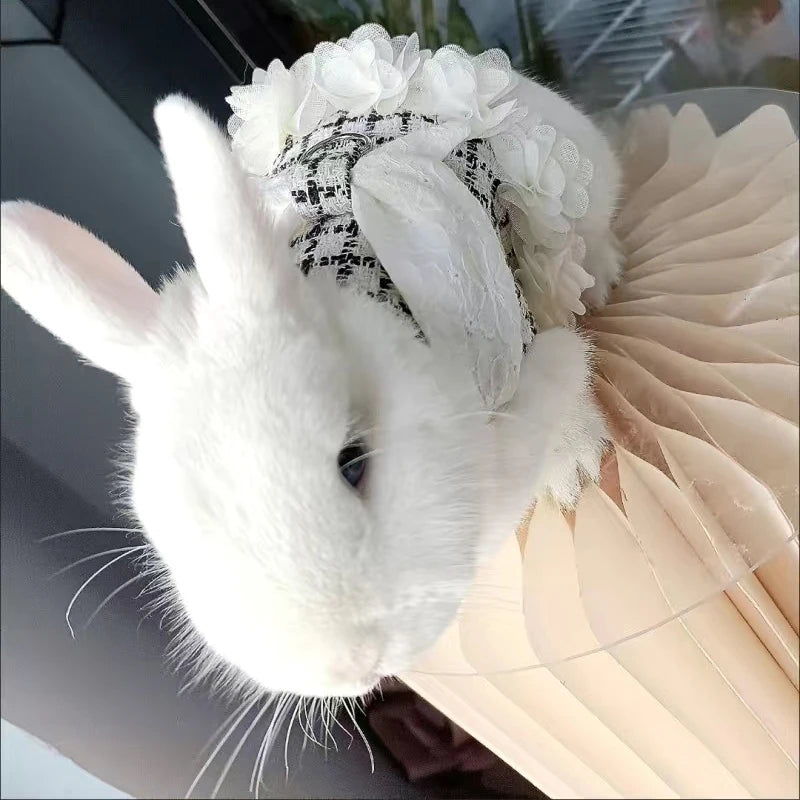 Adjustable Harness & Leash Set for Rabbits & Kittens