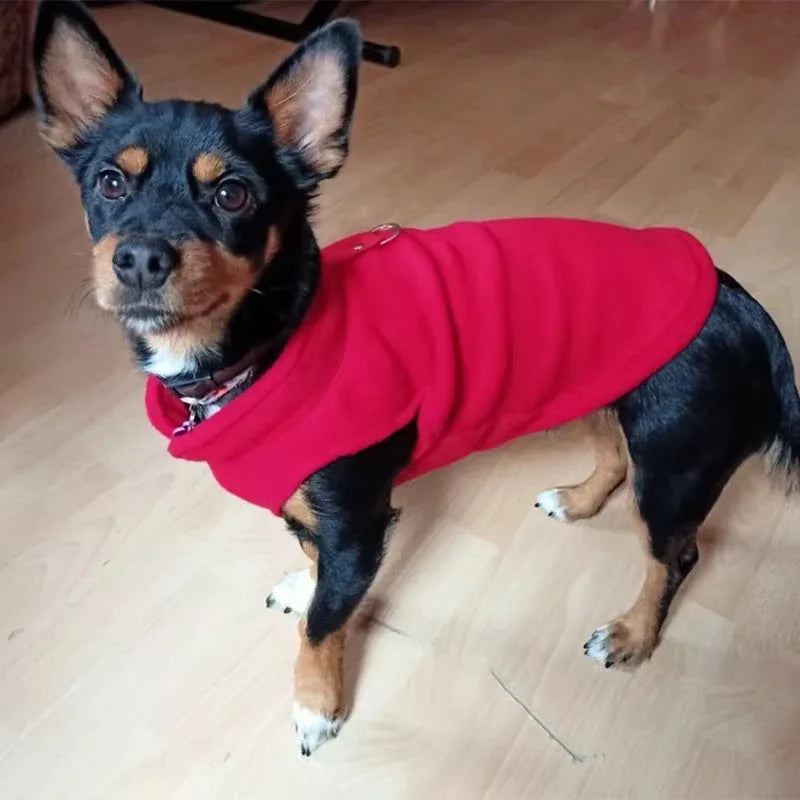Gilet Polaire pour Petits Chiens et Chats | Manteau d'Hiver Chaud pour Chihuahuas et Bouledogues Français