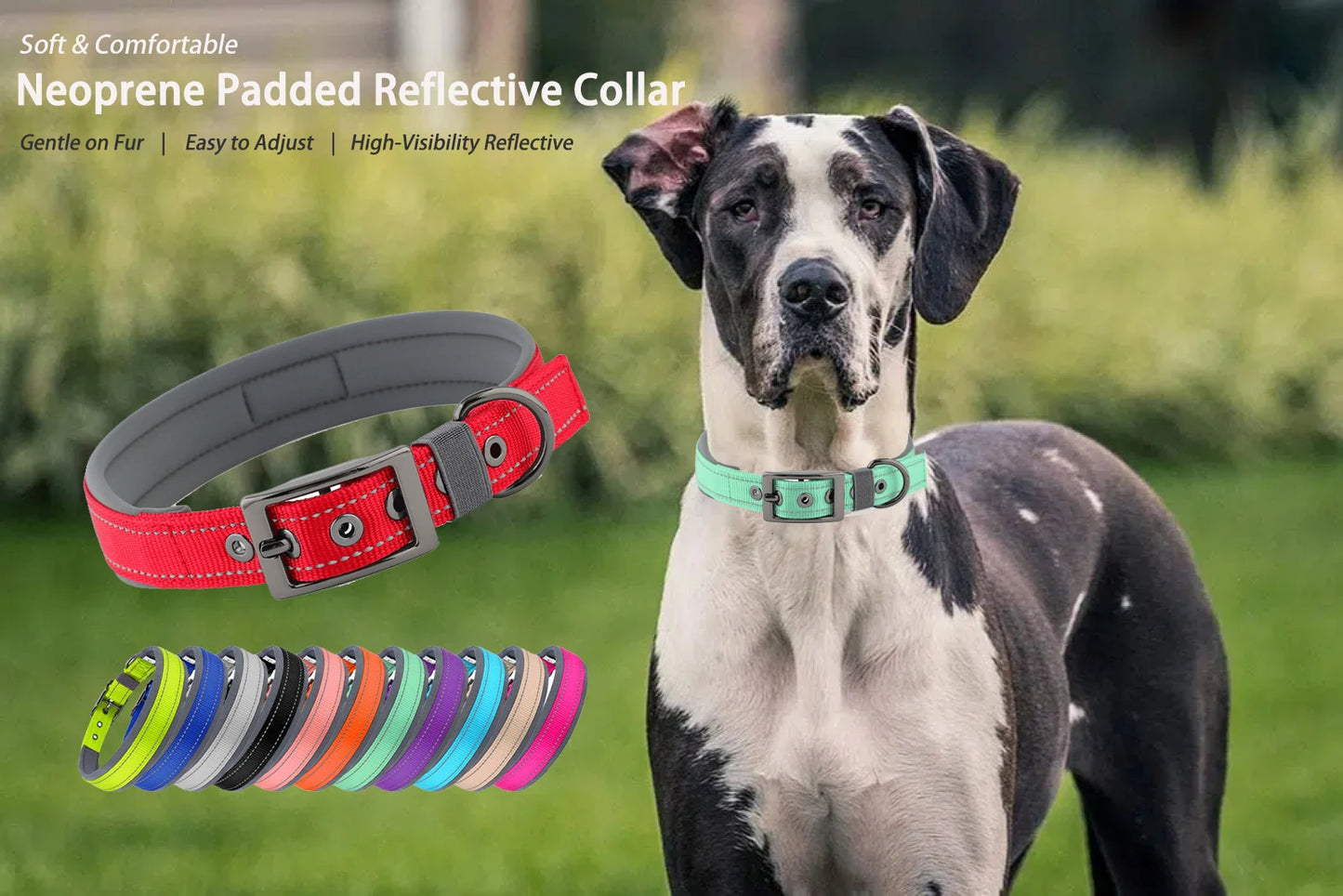 Neoprene Padded Reflective Dog Collar with Metal Buckle