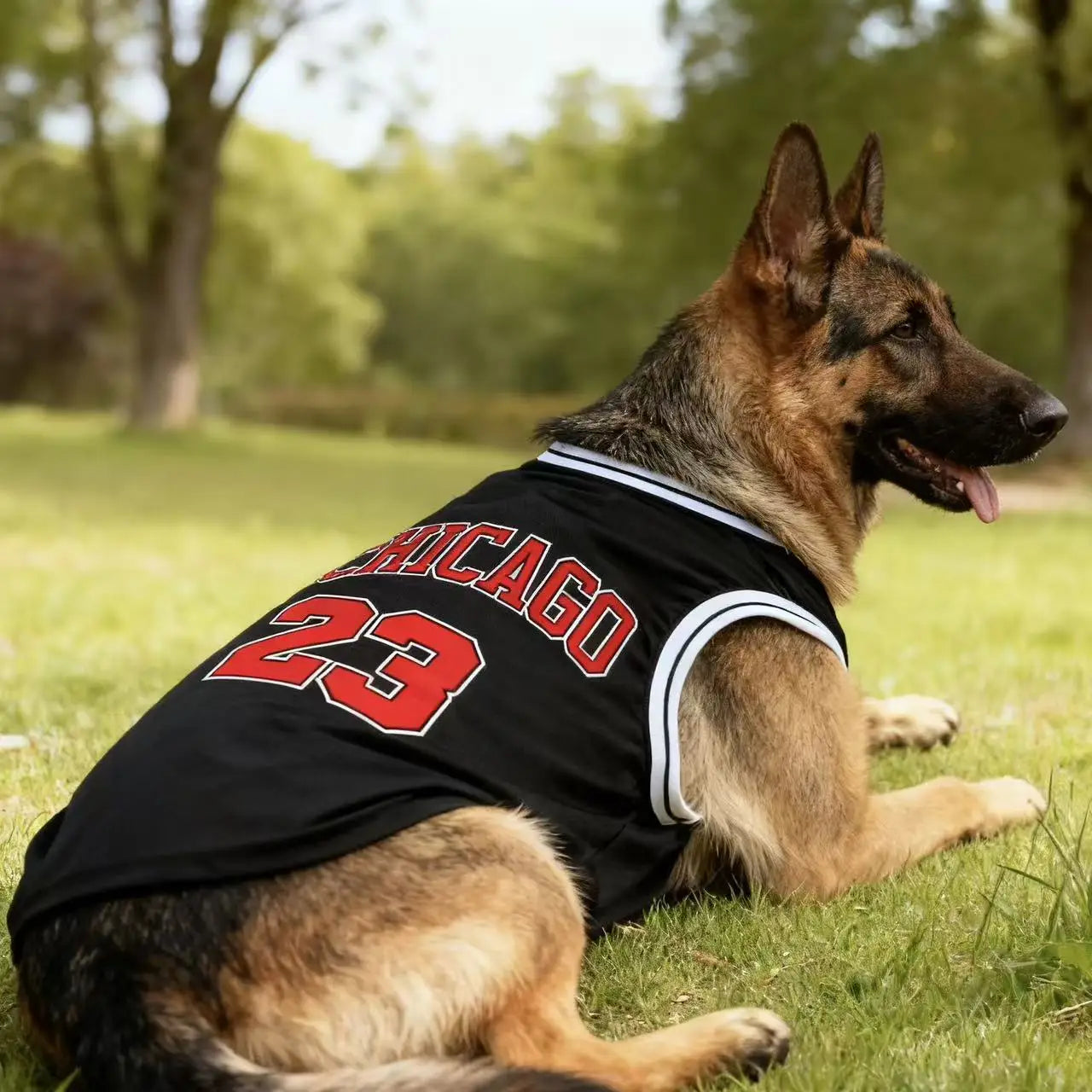 Maillot de refroidissement en maille pour chien de basket-ball de Chicago | Haut d'été respirant pour chiens de taille moyenne et grande