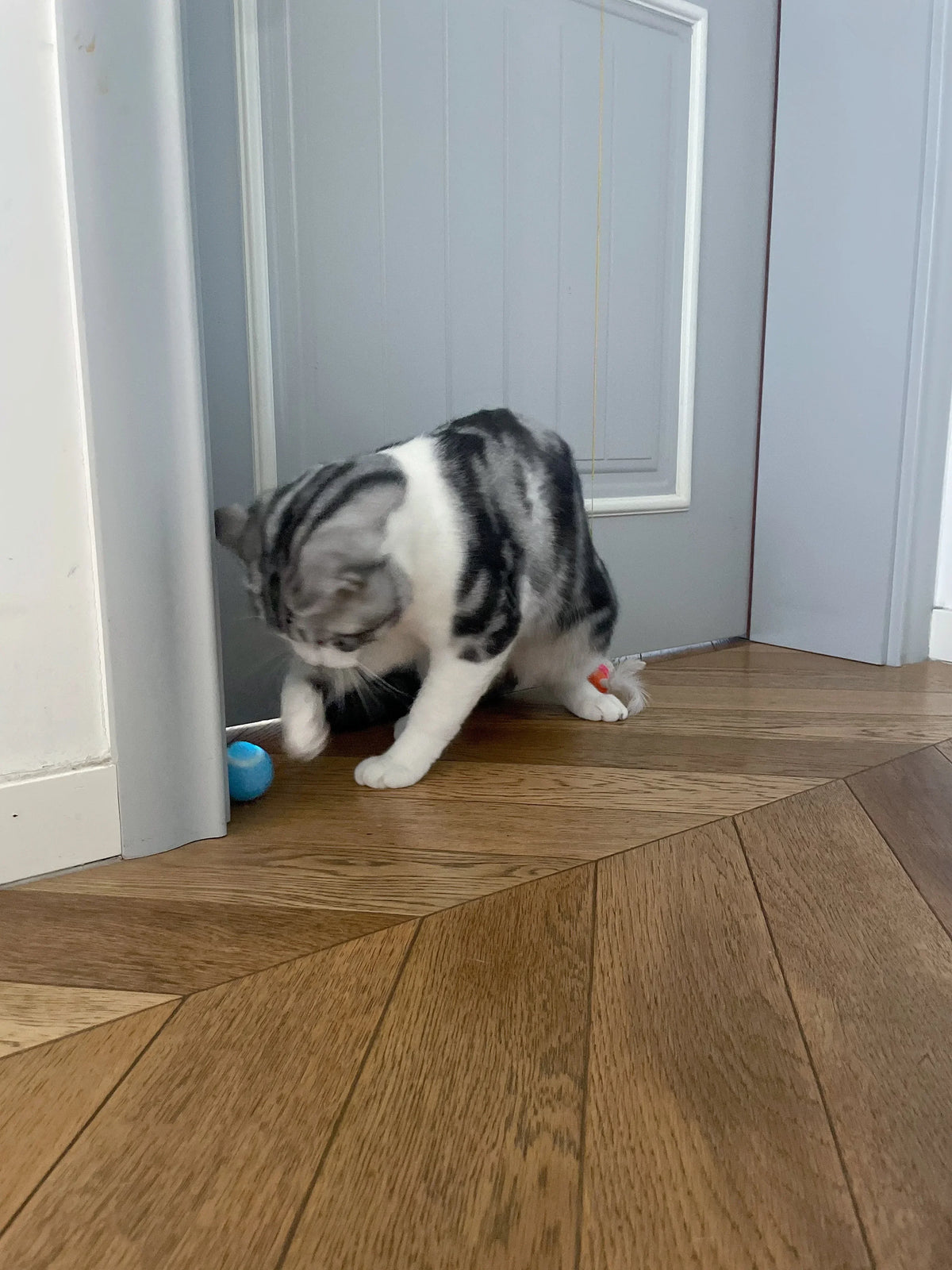 Automatic Rolling Cat Ball with Touch-Activated Play