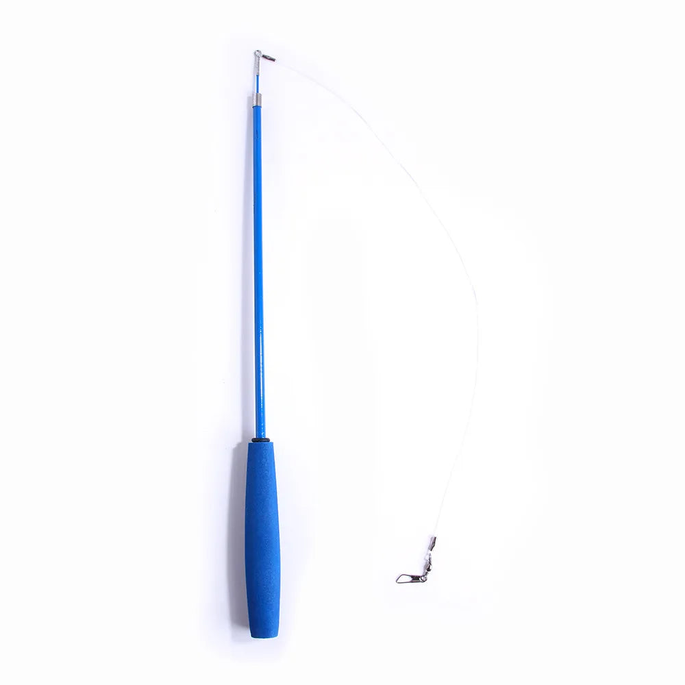 Ensemble de jouets rétractables pour chat