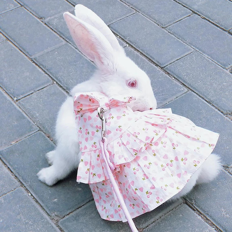Floral Cotton Dress & Harness Set for Rabbits & Small Pets