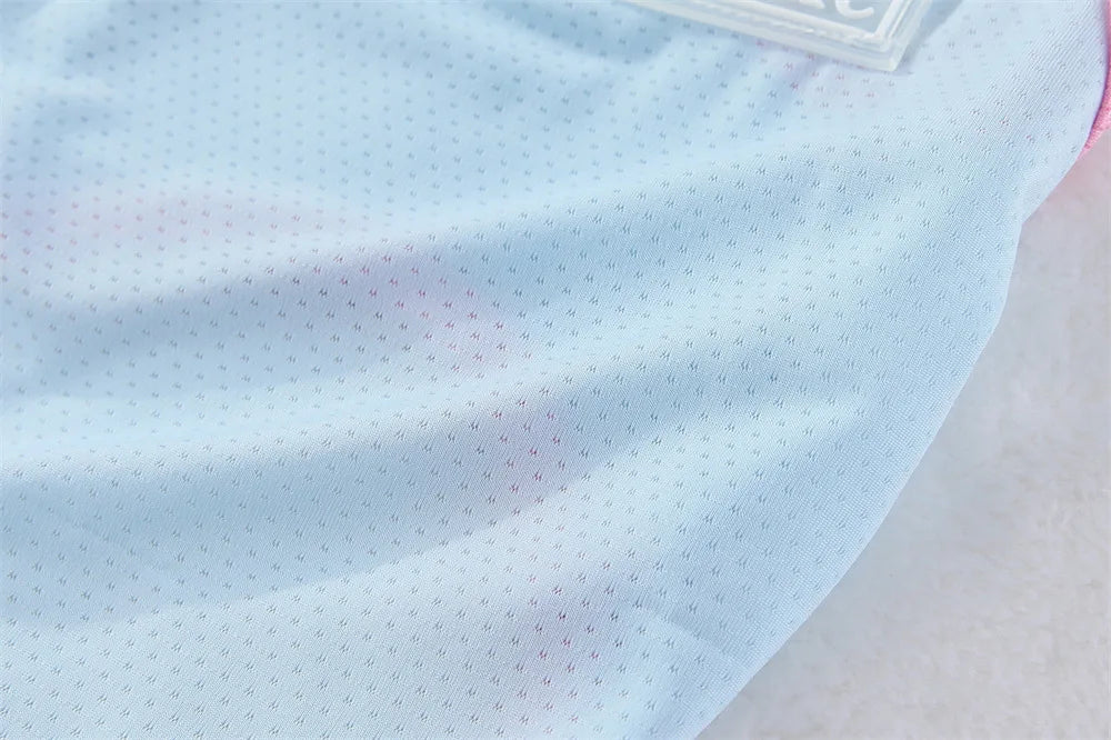 Breathable Mesh Cooling Vest with D-Ring for Small Dogs