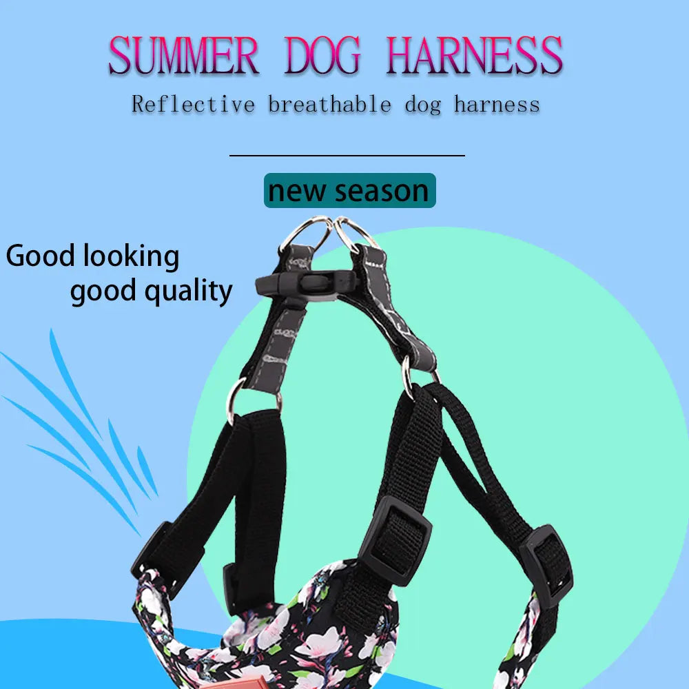 Adjustable Dog Harness & Leash Set with Reflective Strips