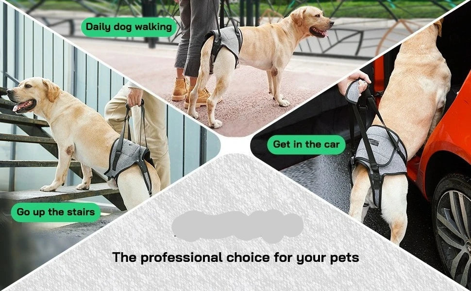 Rear Support Dog Lift Harness for Elderly, Injured & Arthritic Dogs
