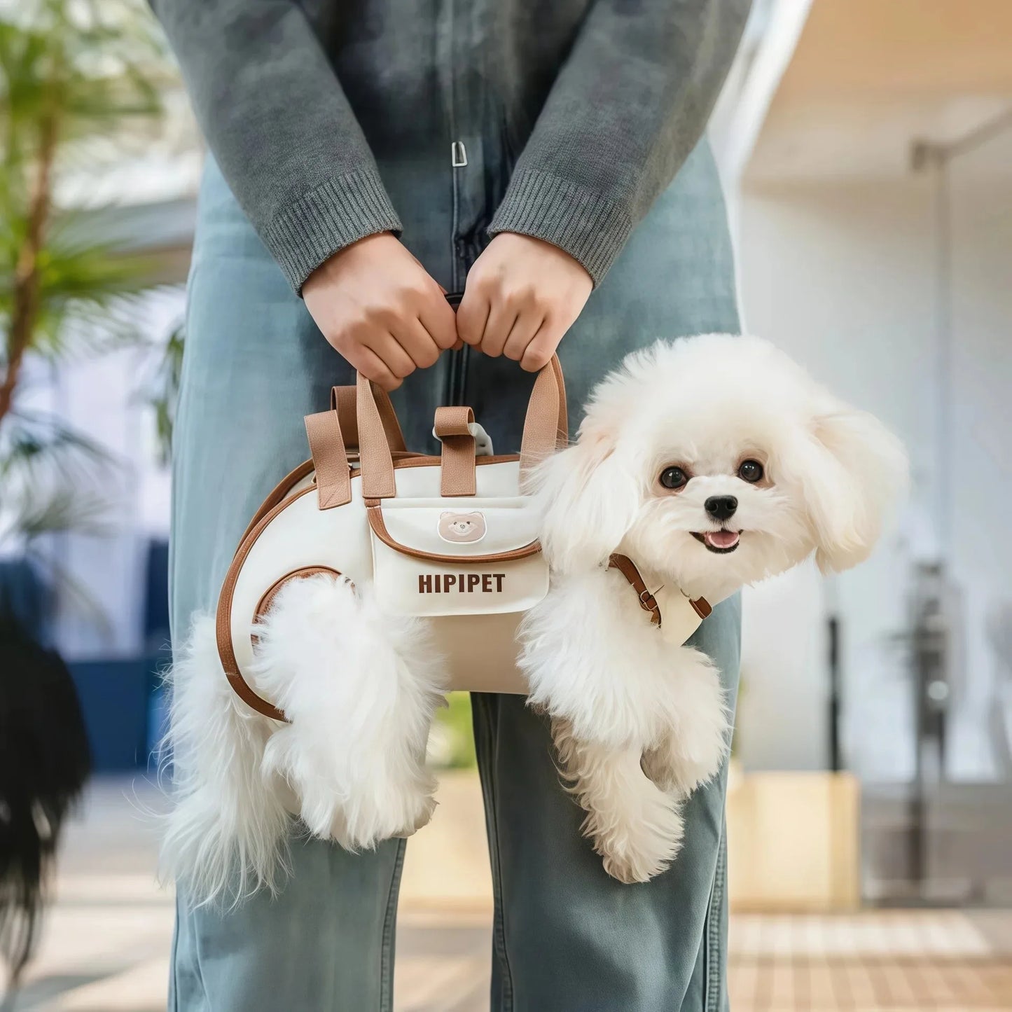 Sac de transport pour animaux de compagnie avec design de sac à dos