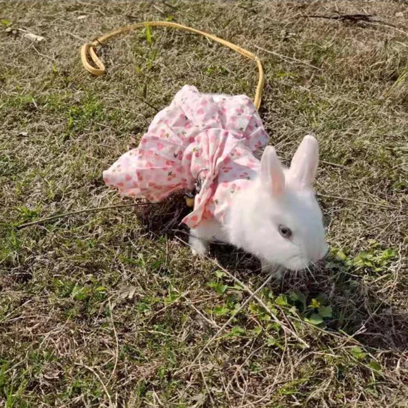 Floral Cotton Dress & Harness Set for Rabbits & Small Pets