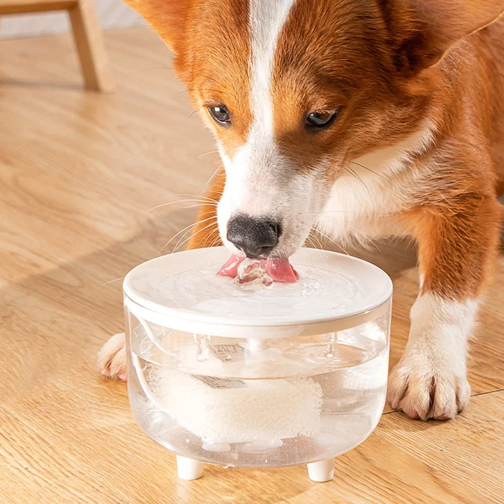Automatic Pet Water Fountain with Filter | 1200ml USB Silent Pump