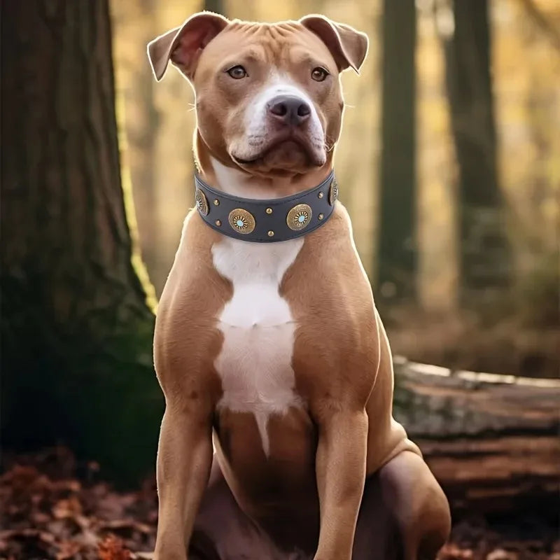 Harnais détachable pour animal de compagnie avec collier et laisse