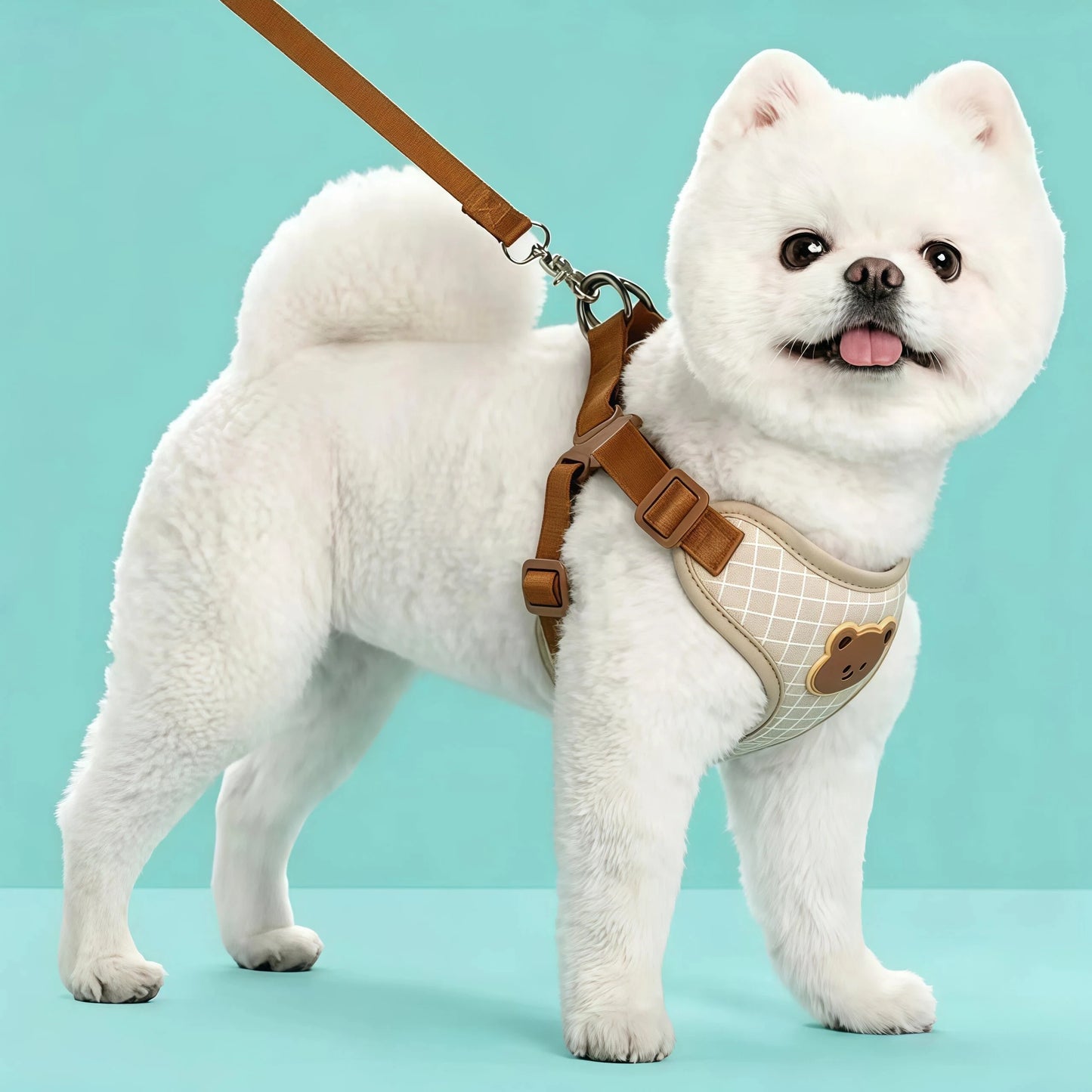 Breathable Vest Harness & Lead Set for Small Dogs & Cats