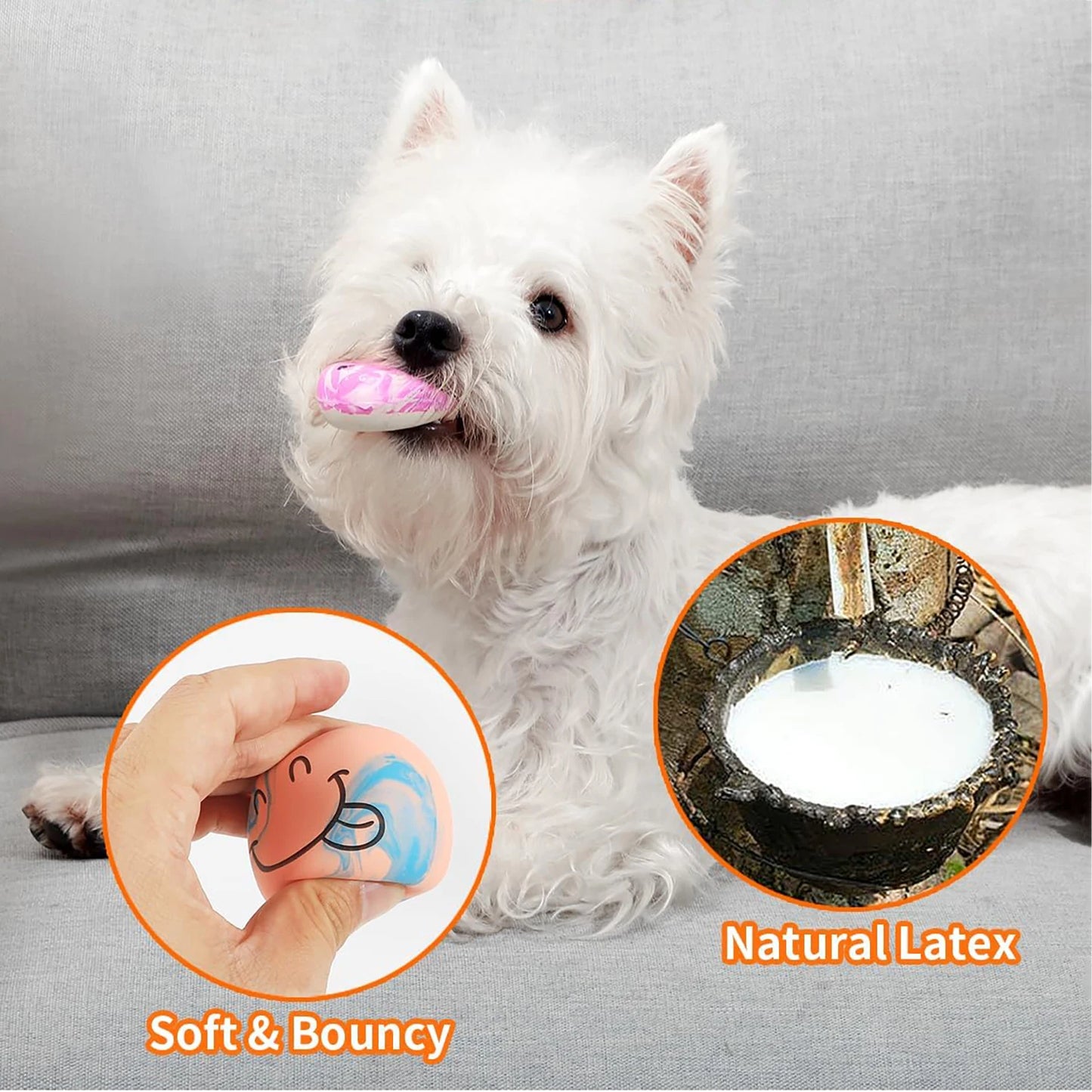 Squeaky Latex Dog Toy Balls – Pack of 6 for Small Dogs