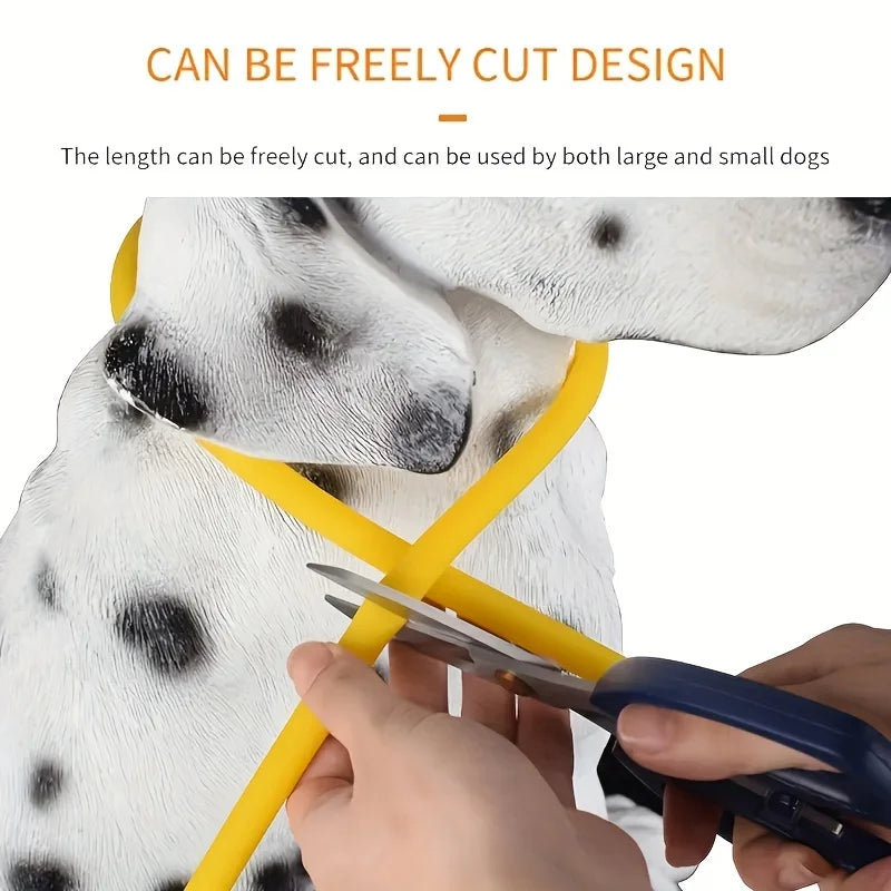 Collier lumineux LED pour chien - Collier de sécurité rechargeable par USB pour une visibilité nocturne