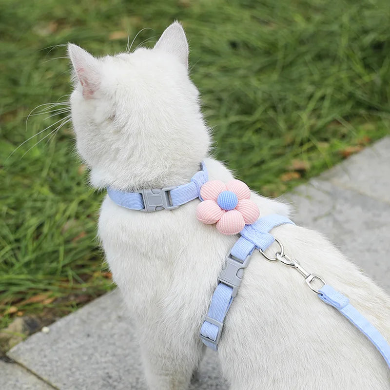 Breathable Adjustable Harness & Leash Set for Cats and Small Dogs