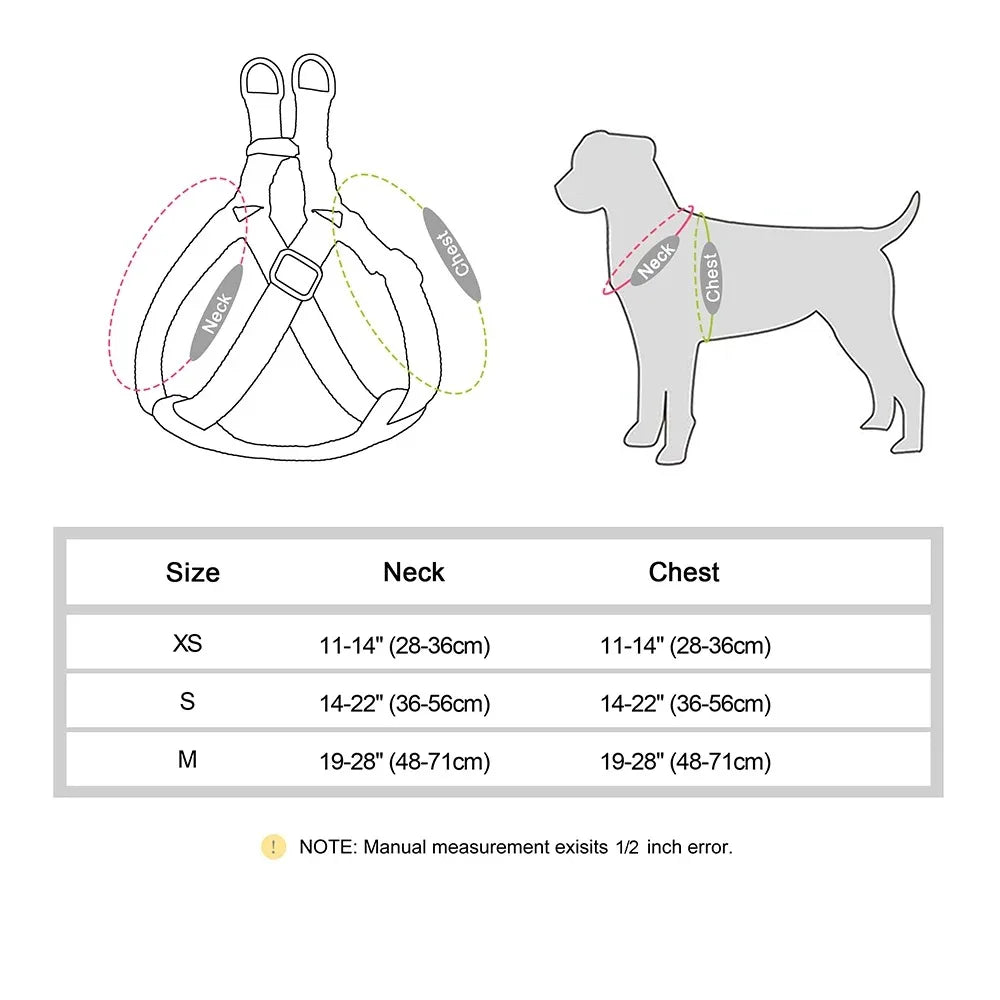 Ensemble harnais de dressage et collier personnalisé pour chien