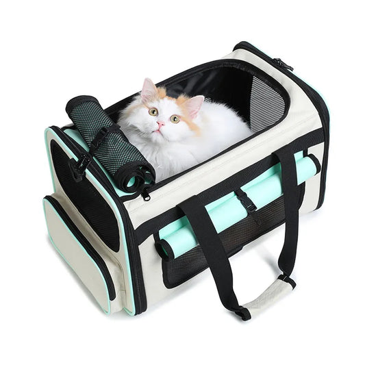 Airline Approved Collapsible Soft-Sided Pet Carrier — Travel Cat & Dog Carrying Case