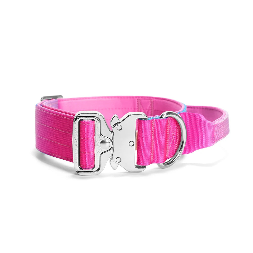 Wide Padded Dog Collar with Handle | Gradient Design for Large Dogs